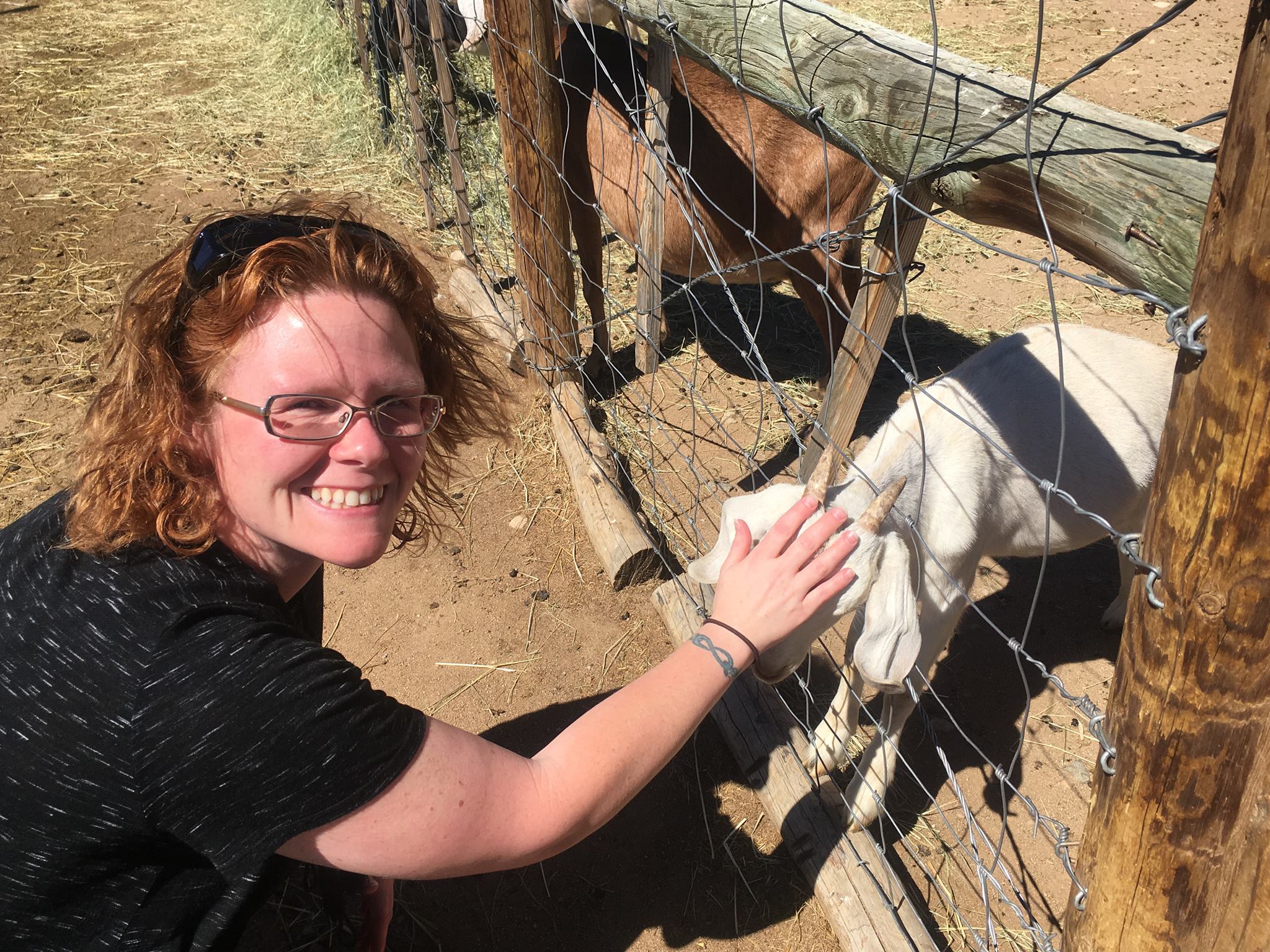 Not the most professional photo, but I sure am happy with my goats